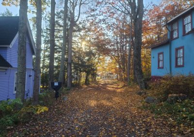 2023-11-10 Cradle Row, photographed in Bayside, ME by Dan Webster. Cradle Row, also known as Grove Street and Cradle Park, is amongst the numerous parcels throughout the village owned by the Northport Village Corporation, and it’s available for overnight car parking during the summer season. #cradlerow #cradlepark #grovestreet #autumn #overnightparking #baysidemaine See less
