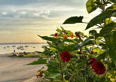 2023-12-18 A Colorful Obstruction, photographed from Park Row in Bayside, ME by Judy Berk. #colorfulobstruction #flowersandthesea #parkrow #rugglespark #dogwalker #penobscotbay #baysidemaine