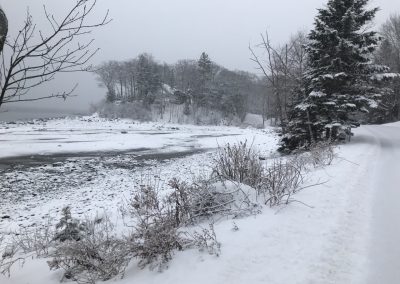 2025-02-03 Tide Out and Snow Falling, photographed at Kelly Cove in Bayside, ME by Craig Brigham. #tideout #lowtide #fallingsnow #kellycove #penobscotbay #baysidemaine