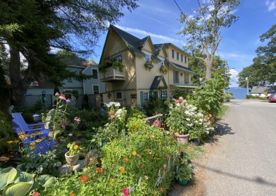 2025-04-21 Blooming, photographed on Clinton Avenue (at Broadway) in Bayside, ME by Amity Hall last summer. Bayside isn’t blooming yet, but it shouldn’t be long now. #blooming #garden #penobscotbay #baysidemaine