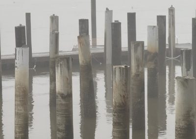 2025-04-22 Sticks, photographed at the Belfast, ME footbridge by Norman Paul. It’s hard to tell where the pilings end and the water begins. #pilings #footbridge #belfastharbor #penobscotbay #belfastmaine #baysidemaine