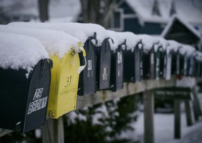 2026-01-05 Standing Out, photographed in Bayside, ME by Steve Nelson. “This photo salutes the unique individuals I know who shun the ordinary and stand out brightly from the pool of sameness. Thank you for bravely making the world more colorful.” @snlsn #bold #brave #unique #baysidemaine